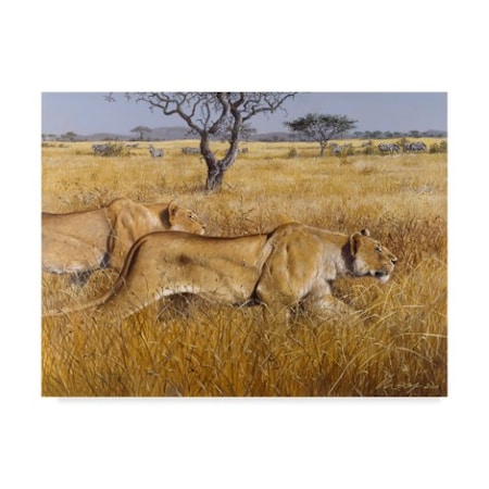 Harro Maass 'Hunting Lions' Canvas Art,18x24